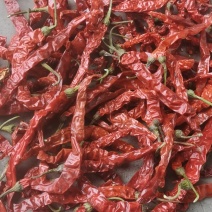 烘干线椒二荆条
