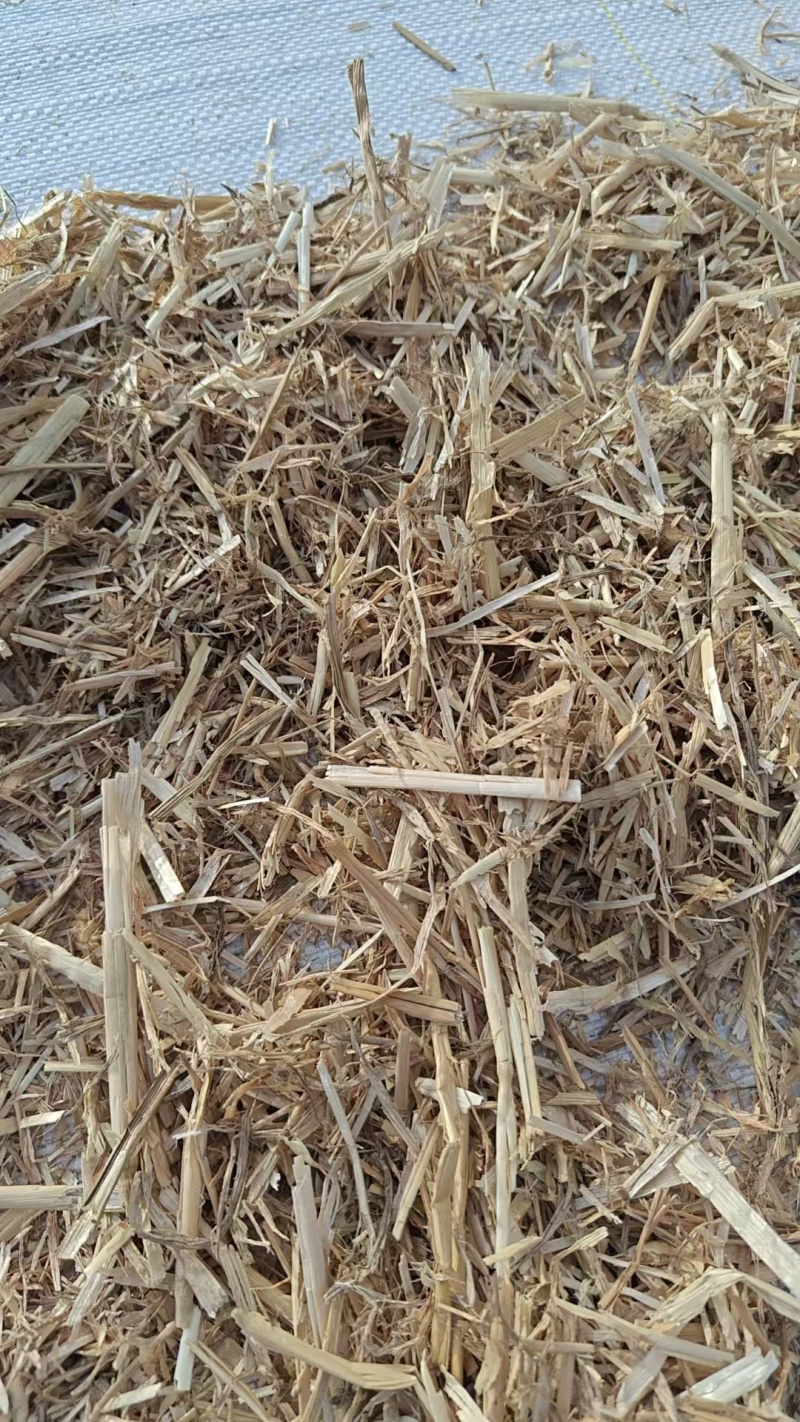 精品小麦秸秆大白包，原厂直销。