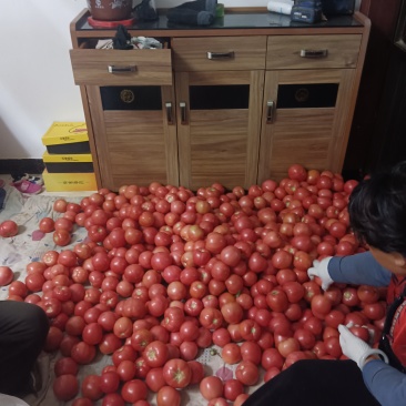西红柿