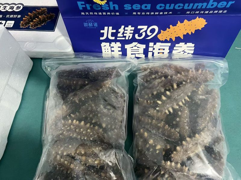威海本地海参。买一斤送一斤只要398