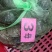 精品鲜活母蟹大闸蟹
