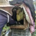 贵州散养百花蜜