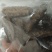 瑕疵即食海参，除了卖相不好看，没有别的毛病，价格美丽，经济又