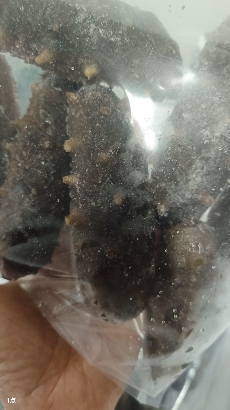 瑕疵即食海参，除了卖相不好看，没有别的毛病，价格美丽，经济又
