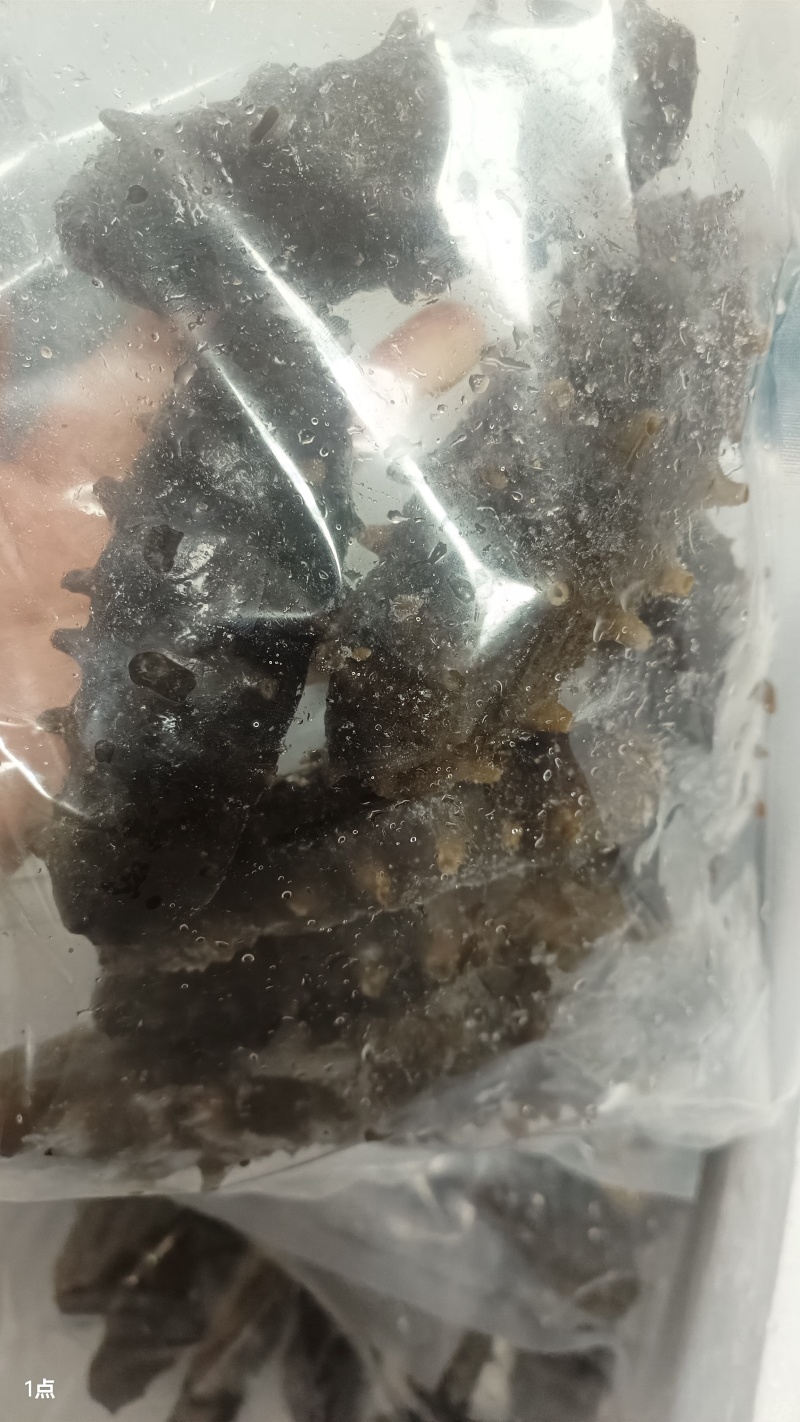 瑕疵即食海参，除了卖相不好看，没有别的毛病，价格美丽，经济又
