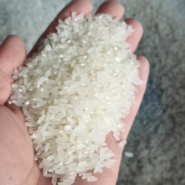 中盛七号大米