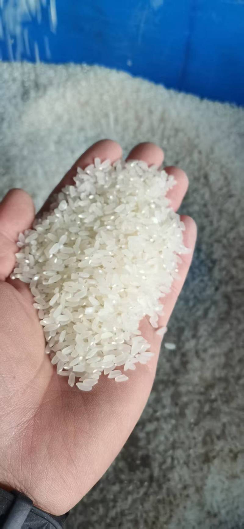 中盛七号大米