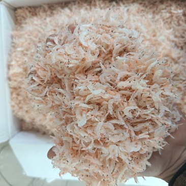 盛晖厂家船上加工的虾皮，淡盐，盐分低，微粉，净货十斤批发价