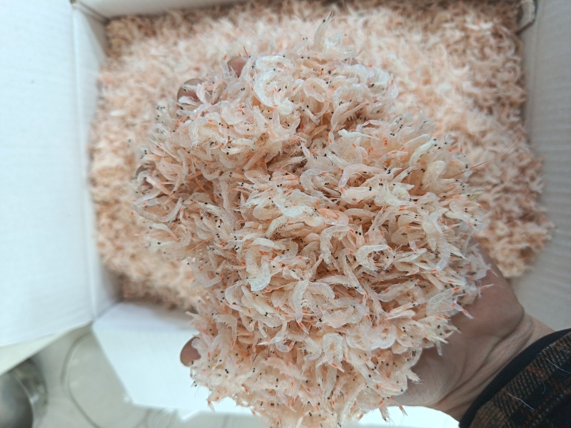 盛晖厂家船上加工的虾皮，淡盐，盐分低，微粉，净货十斤批发价