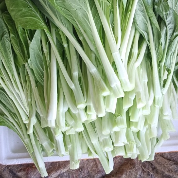 菜心
