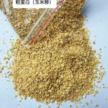 玉米粗蛋白