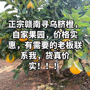 赣南寻乌脐橙