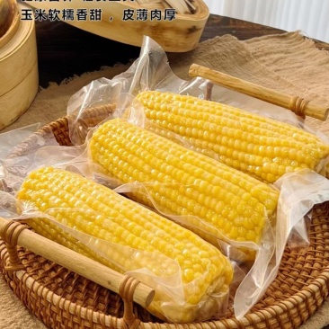 东北鲜食玉米