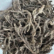 石菖蒲干货