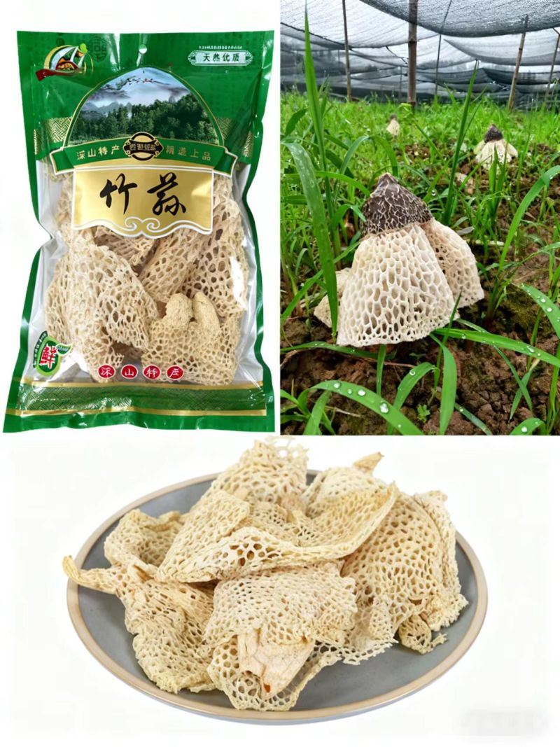 宜宾蜀南竹海长裙竹荪