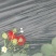 草莓