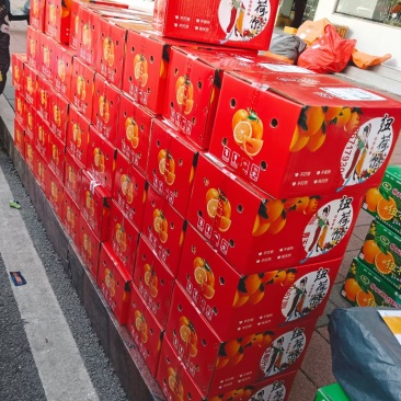 自己家的橙子，保证自然成熟，不催熟不打蜡🍊