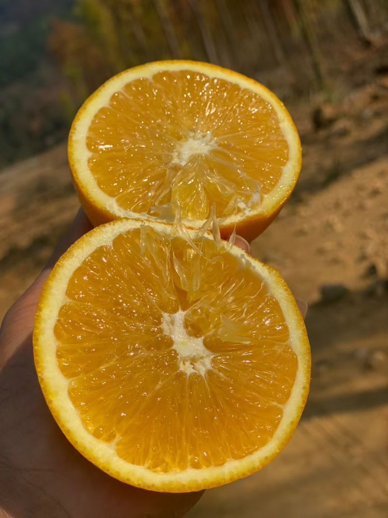 广西脐橙大量上市，囗感皮张全部嘎嘎靓，价格实惠