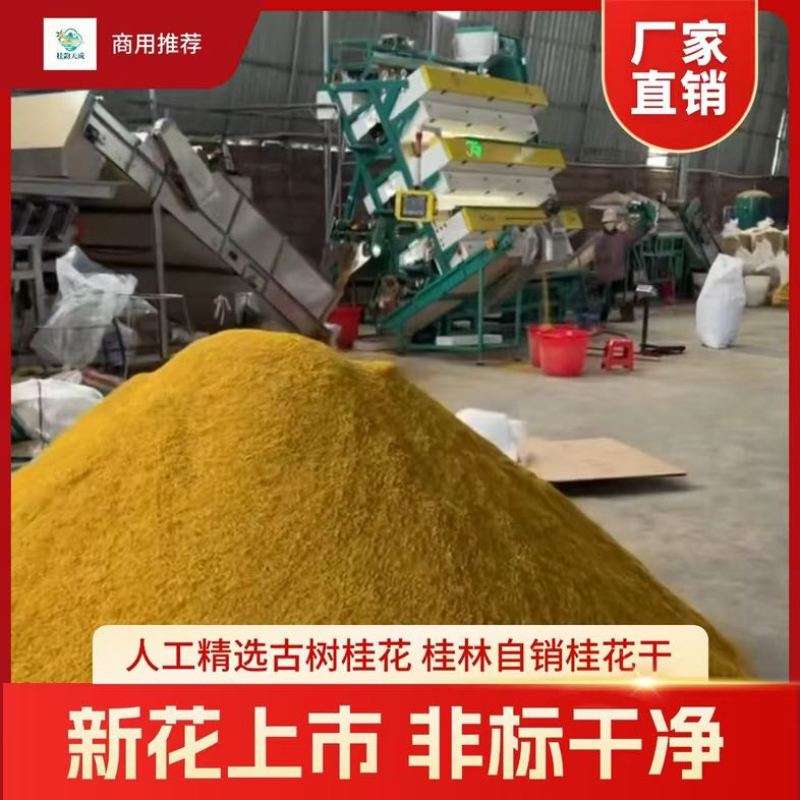 桂花干产地厂家批发。都是批发价低价处理