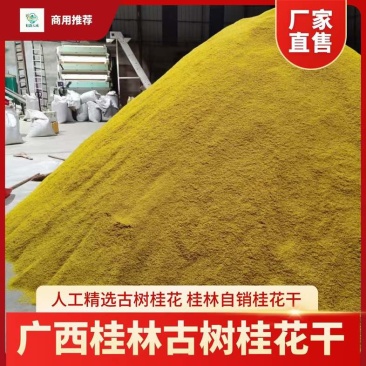 干桂花桂花茶产地商用批发低价处理