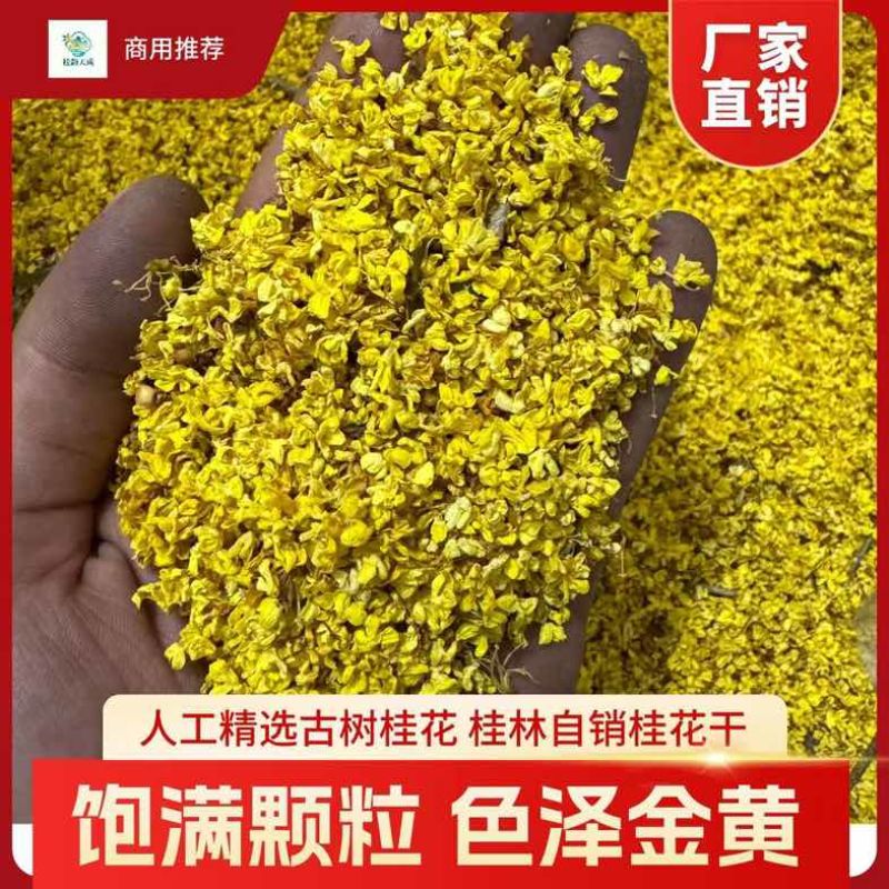 干桂花桂花茶产地商用批发低价处理
