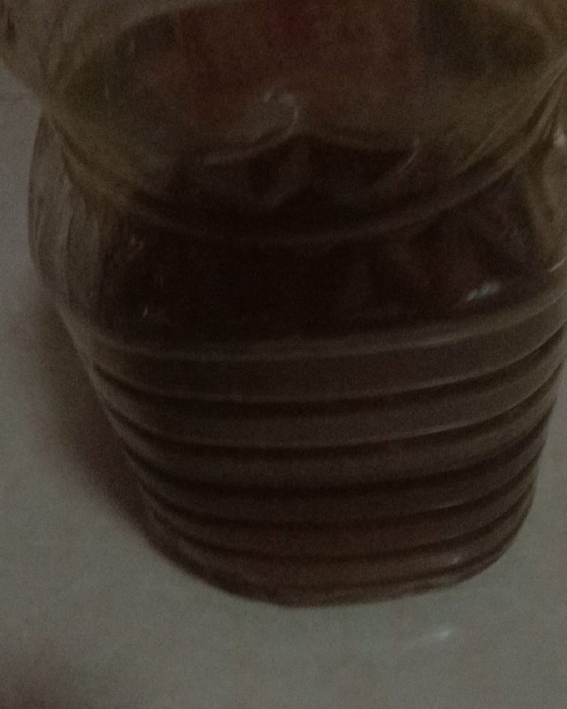 江西高山油茶