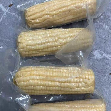 一件代发高品质真空玉米，糯玉米水果玉米，各大平台发货