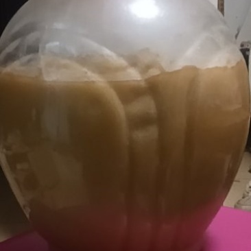 野生蜂蜜