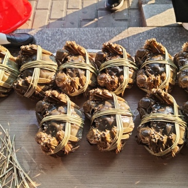 庙港水产大闸蟹黑鱼外塘河虾昂刺鲈鱼鳜鱼