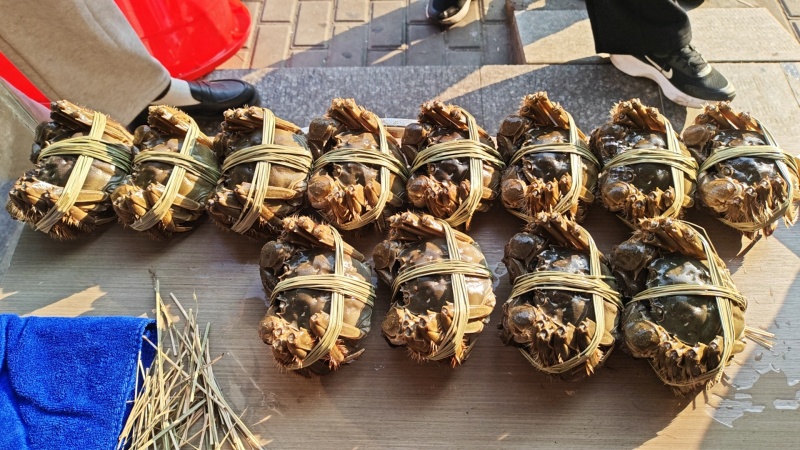 庙港水产大闸蟹黑鱼外塘河虾昂刺鲈鱼鳜鱼