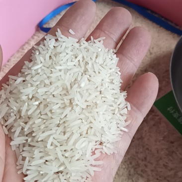 丝苗香丝苗大米