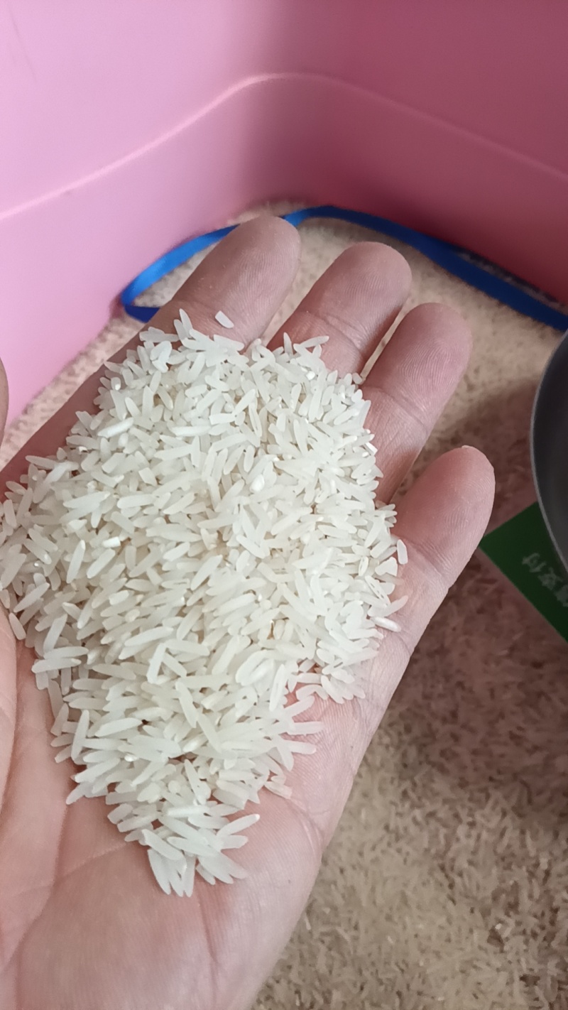 丝苗香丝苗大米