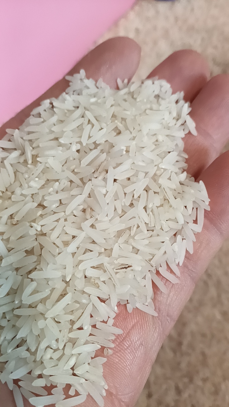 丝苗香丝苗大米