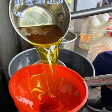 自家种的茶籽油，今年出茶籽油，数量70斤