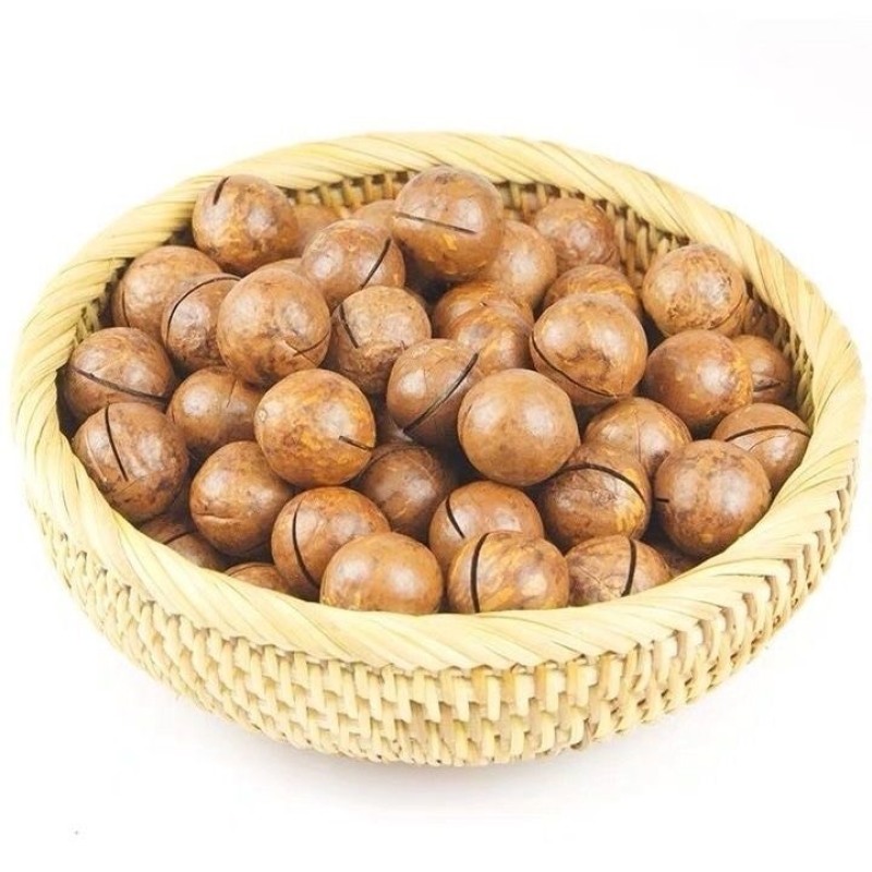 夏威夷果大颗粒奶香味电商，一件代发批量拿货