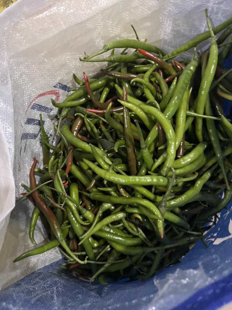 花线椒