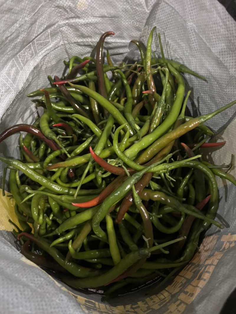 花线椒