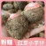 江西正宗农家当季新鲜红芽芋头江西红牙芋头香芋芋艿现挖现发批发
