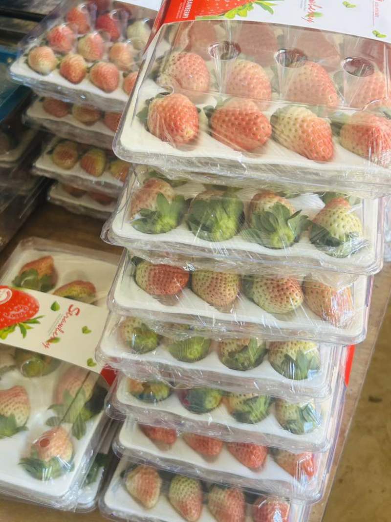 黔莓