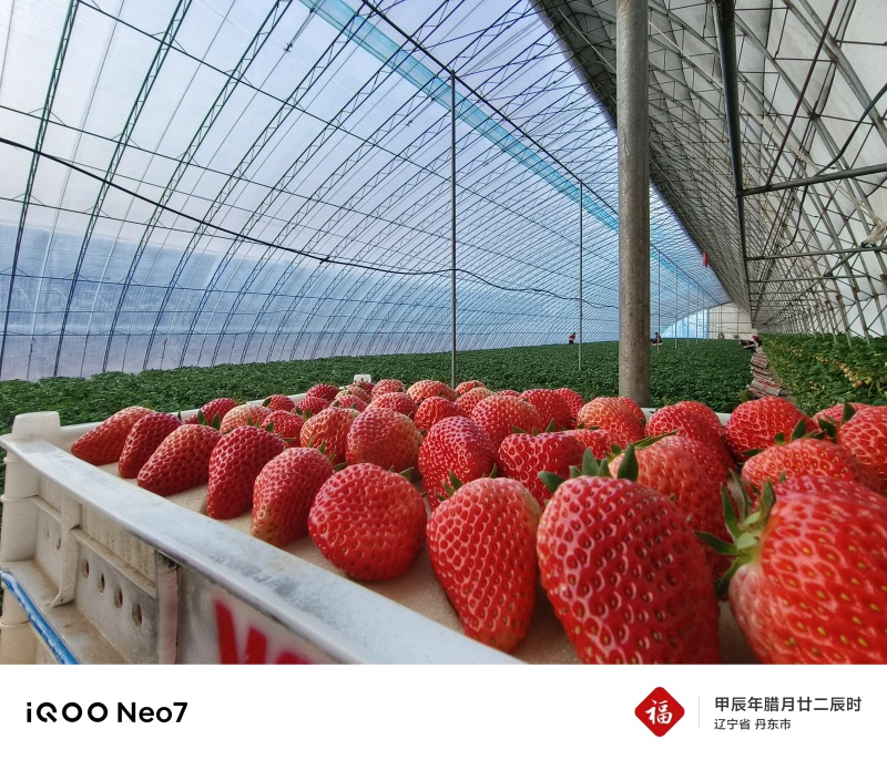 丹东九九草莓自家大棚快递接单，一件代发，售后有保障。