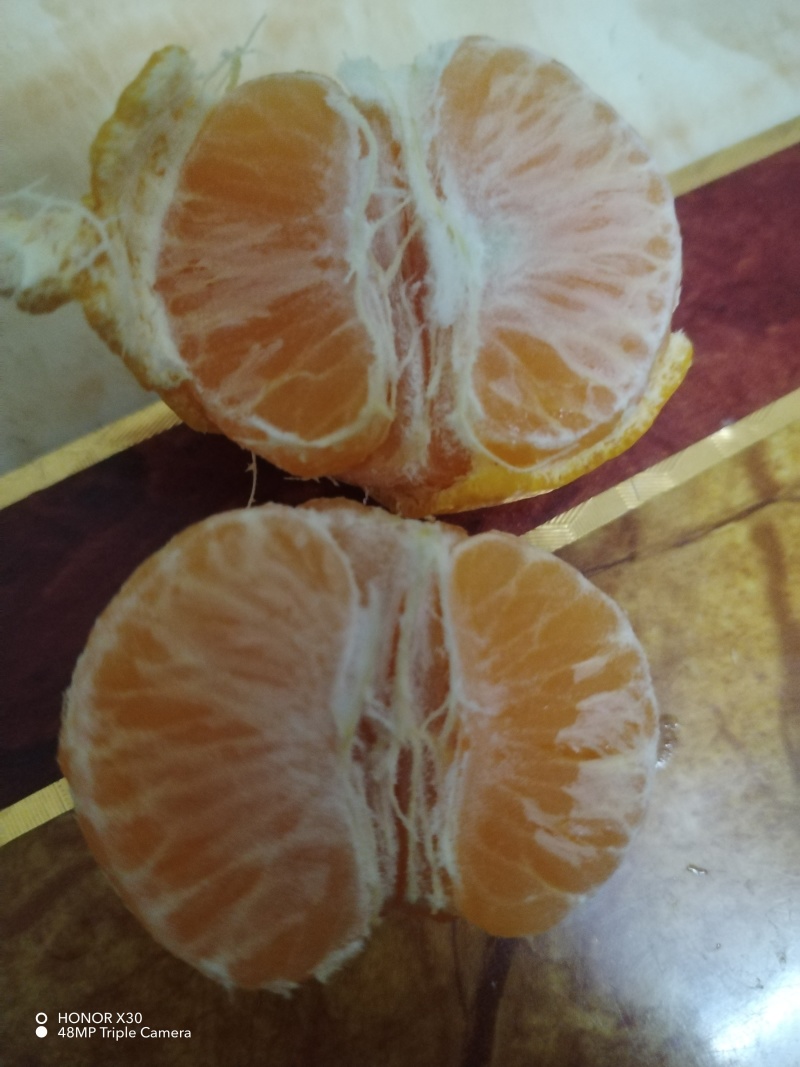 广东砂糖橘