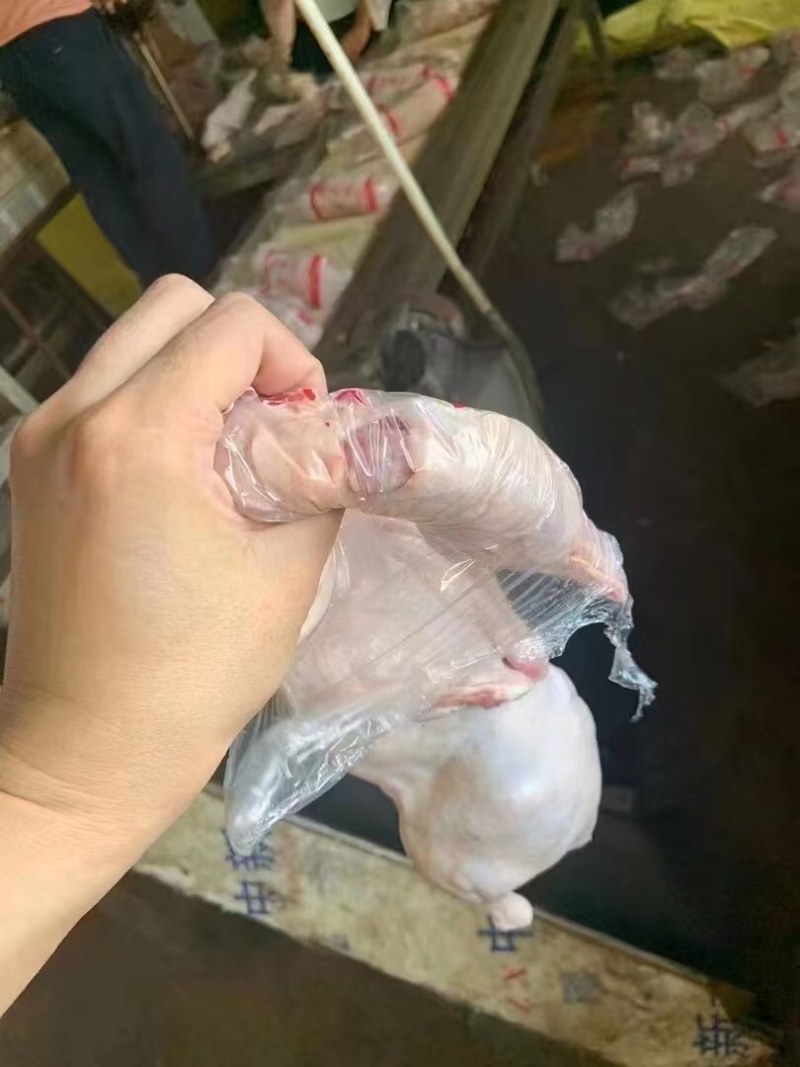 950g一级白条鸭，30吨