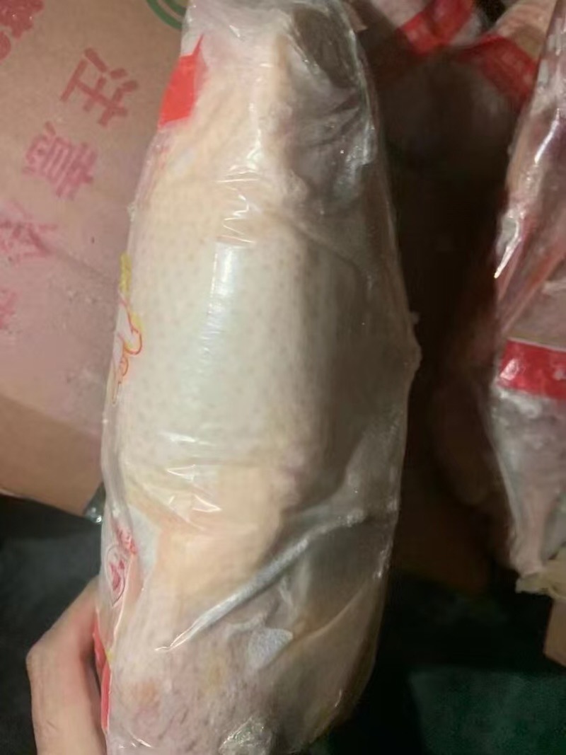 950g一级白条鸭，30吨