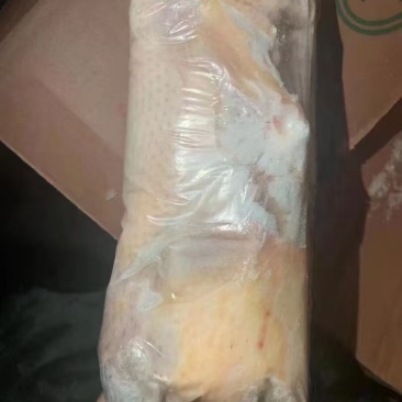 950g一级白条鸭，30吨