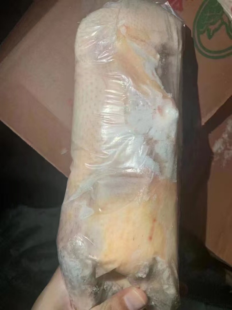 950g一级白条鸭，30吨