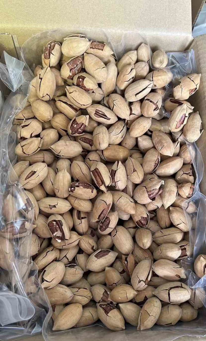 碧根果新果批发，现货充足，供应链管理，支持电商一件代发
