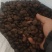 江西上饶山茶油