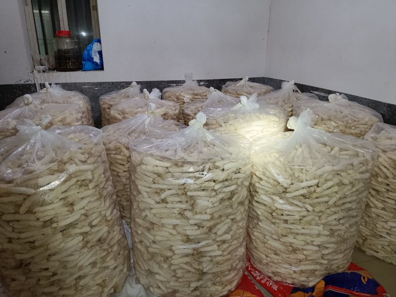 织金红托竹荪