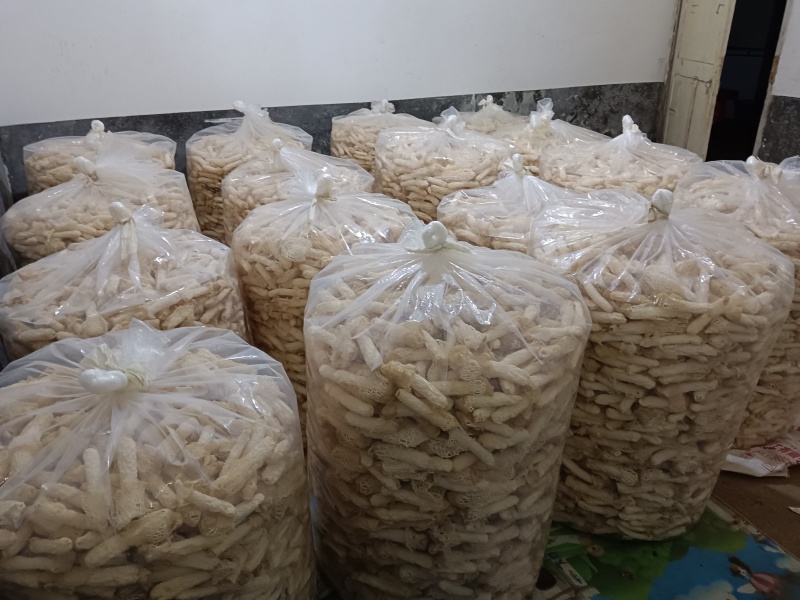 织金红托竹荪