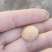 山茶油原油出售（白花小果，原油），假一赔命
